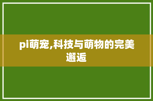 pi萌宠,科技与萌物的完美邂逅
