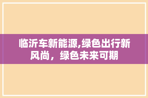 临沂车新能源,绿色出行新风尚，绿色未来可期