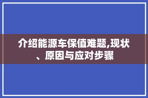 介绍能源车保值难题,现状、原因与应对步骤