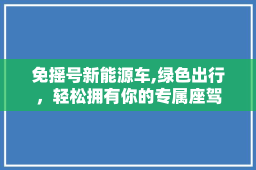 免摇号新能源车,绿色出行，轻松拥有你的专属座驾