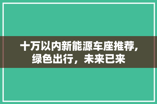 十万以内新能源车座推荐,绿色出行，未来已来