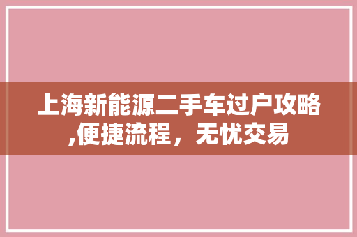 上海新能源二手车过户攻略,便捷流程，无忧交易