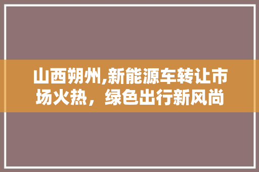 山西朔州,新能源车转让市场火热，绿色出行新风尚