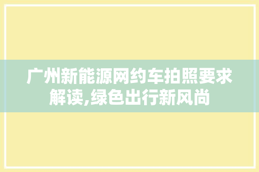 广州新能源网约车拍照要求解读,绿色出行新风尚