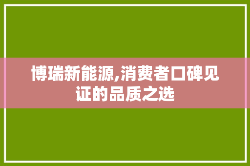 博瑞新能源,消费者口碑见证的品质之选