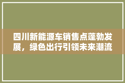 四川新能源车销售点蓬勃发展，绿色出行引领未来潮流