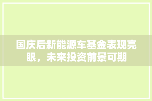 国庆后新能源车基金表现亮眼，未来投资前景可期