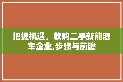把握机遇，收购二手新能源车企业,步骤与前瞻