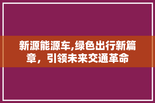 新源能源车,绿色出行新篇章，引领未来交通革命